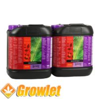 B'cuzz Coco Nutrition A+B by Atami: Fertilizer for growth and flowering