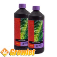 B'cuzz Coco Nutrition A+B by Atami: Fertilizer for growth and flowering