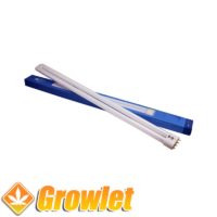 Top view of the TCL 55 W blue fluorescent tube