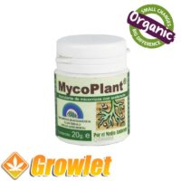 Trabe Mycoplant bottle