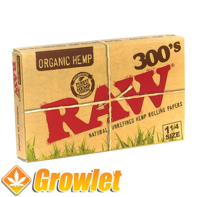 Filtres en carton Raw de Raw - THGrow (Growshop Online)