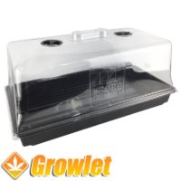 plastic propagator to make cuttings or germinate seeds