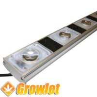 IndoorLed Tarantula 1000 (480 W) LED for indoor cultivation