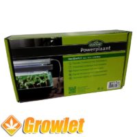 Hortiswitch day night thermostat with timer