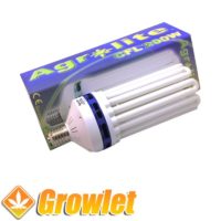 Front view of CFL Agrolite 200 W