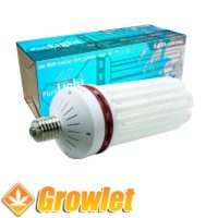 Front view of CFL Pure Light 200 W