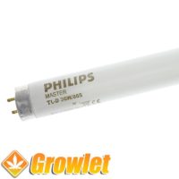 Tubo fluorescente 18 W Philips para crecimiento