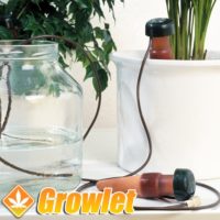 pot with automatic watering blumat