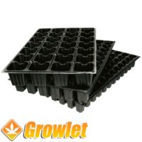 black plastic tray for germinating seeds