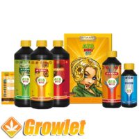 fertilizers for growing cannabis
