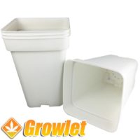 White square growing pot