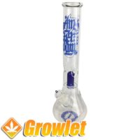 Glass Amsterdam glass bong for weed with percolator