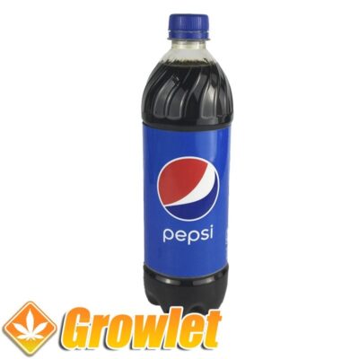 Botella de ocultación de Pepsi de plástico