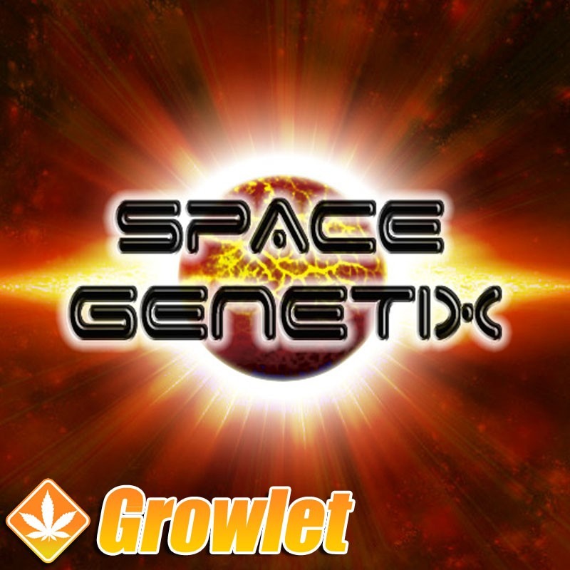Space Genetix sin foto