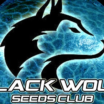 Black Wolf Seeds Club