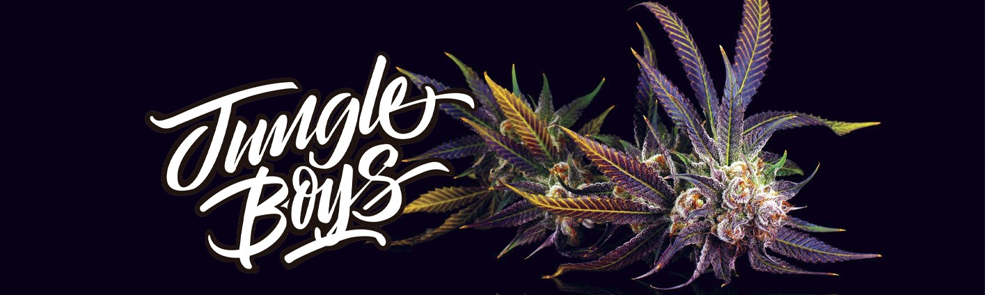 Jungle Boys Collective logo