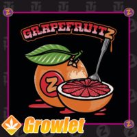 Grapefruitz Marijuana Seeds by Plantinum Seeds - Terp Hogz