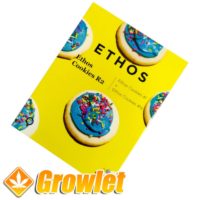 Ethos Cookies R2 seeds from Ethos Genetics