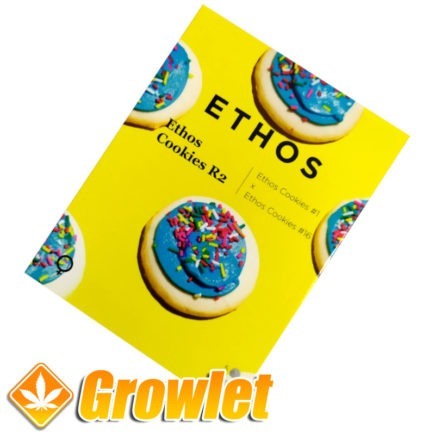 Semillas Ethos Cookies R2 de Ethos Genetics