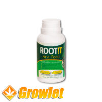 Root It First Feed Bottle
