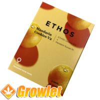 Mandarin Cookies V2 de Ethos Genetics