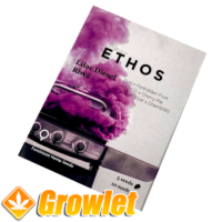 Lilac Diesel RBx2 de Ethos Genetics