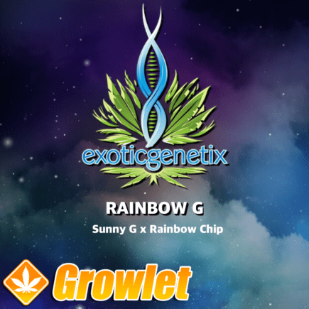 Logo de Rainbow G de Exotic Genetix