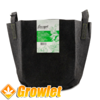 Textile Flexapot pot for indoor and outdoor cultivation
