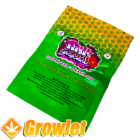 Pink Gasoline seeds from Perfect Tree