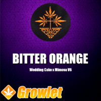 Bitter Orange semillas feminizadas de cannabis