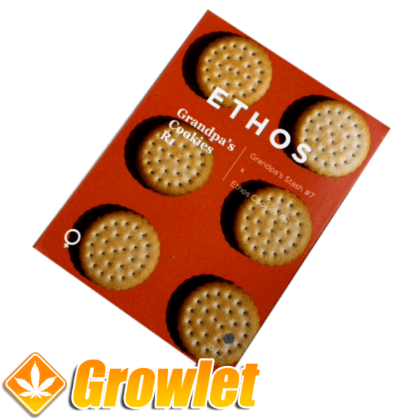 Grandpa´s Cookies R1 semillas feminizadas de cannabis