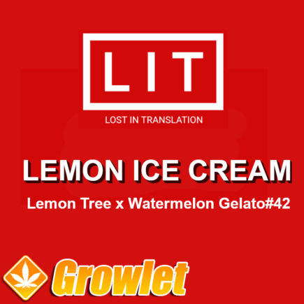 Lemon Ice Cream semillas regulares de cannabis
