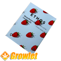 Strawberry Cookies OG R1 feminized cannabis seeds