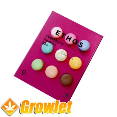 Punchberry Cookies RBX semillas feminizadas de cannabis