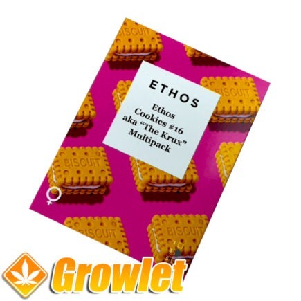 Ethos Cookies #16 "The Krux" Multipack semillas feminizadas de cannabis