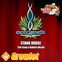 Stank House feminized cannabis seeds from Exotic Genetix