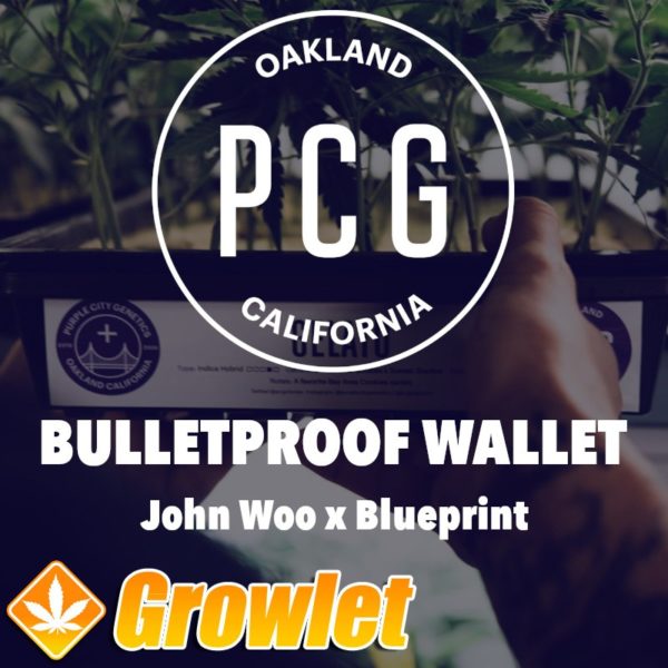 Bulletproof Wallet semillas feminizadas de cannabis