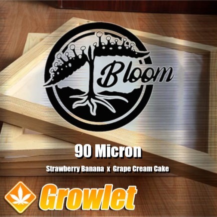 90 Micron de Bloom Seed Co