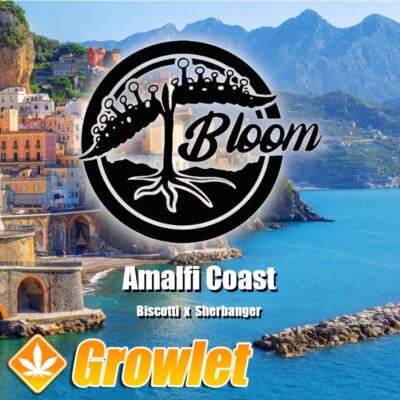 Amalfi Coast de Bloom Seed Co