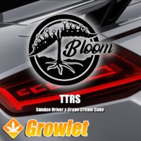 Bloom Seed Co TTRS