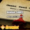 Banana Sours de Umami Seed Co