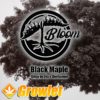 Black Maple de Bloom Seed Co