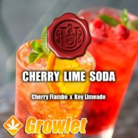 Cherry Lime Soda de Umami Seed Co