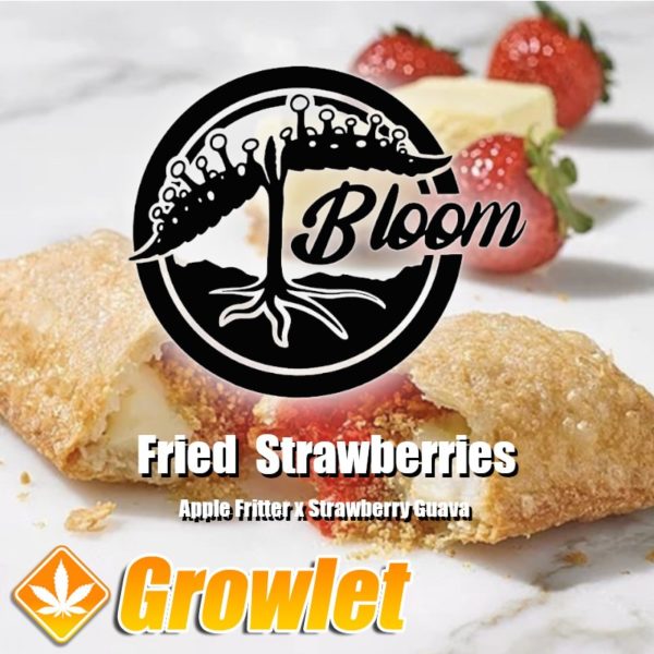Fried Strawberries de Bloom Seed Co
