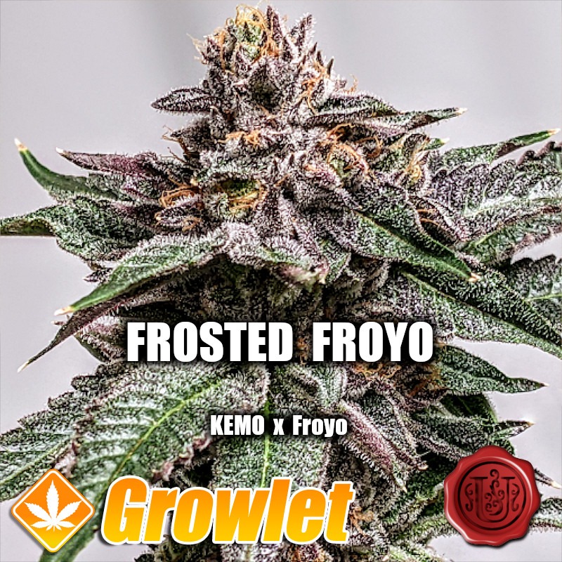 Frosted Froyo de Umami Seed Co