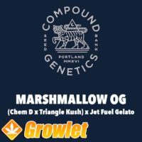 Marshmallow OG de Compound Genetics semillas feminizadas