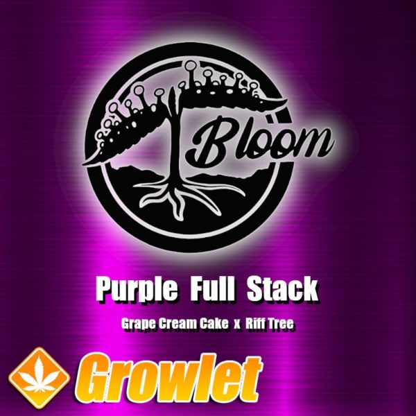 Purple Full Stack de Bloom Seed Co