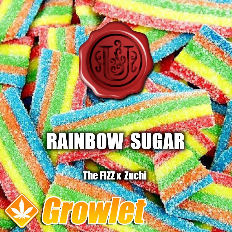 Rainbow Sugar de Umami Seed Co