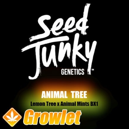 Animal Tree de Seed Junky Genetics
