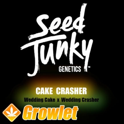 Cake Crasher de Seed Junky Genetics